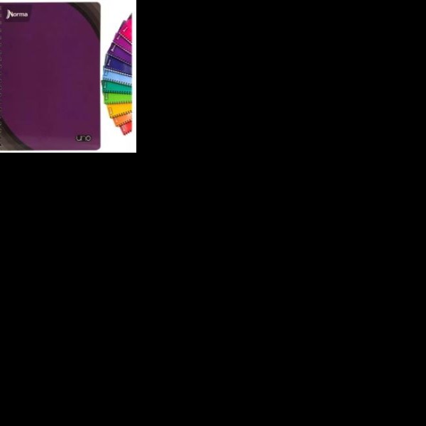 CUADERNO PROF. UNO NORMA 529991 C5 100H. PZA